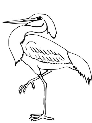 Wading Heron Coloring Page